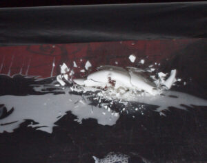 A white ceramic dolphin figurine is shown mid-shatter on a hard, dark surface, with fragments and dust scattered around.