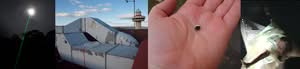 A collage of four images: a green laser in the night sky, a weather station, a small object on a hand, and a person handling an object in protective wrapping.